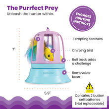 Purple interactive bird cat toy with clear dome, feathered elements, and removable blue base