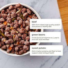 Freshpet small dog kibble in bowl with labeled ingredients: beef, green beans, sweet potato