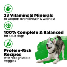 Adult dog nutrition infographic: 23 vitamins, 100% balanced, protein-rich recipes