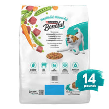 Purina Beneful dry dog food bag back, 14 lb, nutrition and ingredient icons