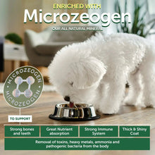 Small white dog with metal food bowl on floor, with mineral enrichment graphic