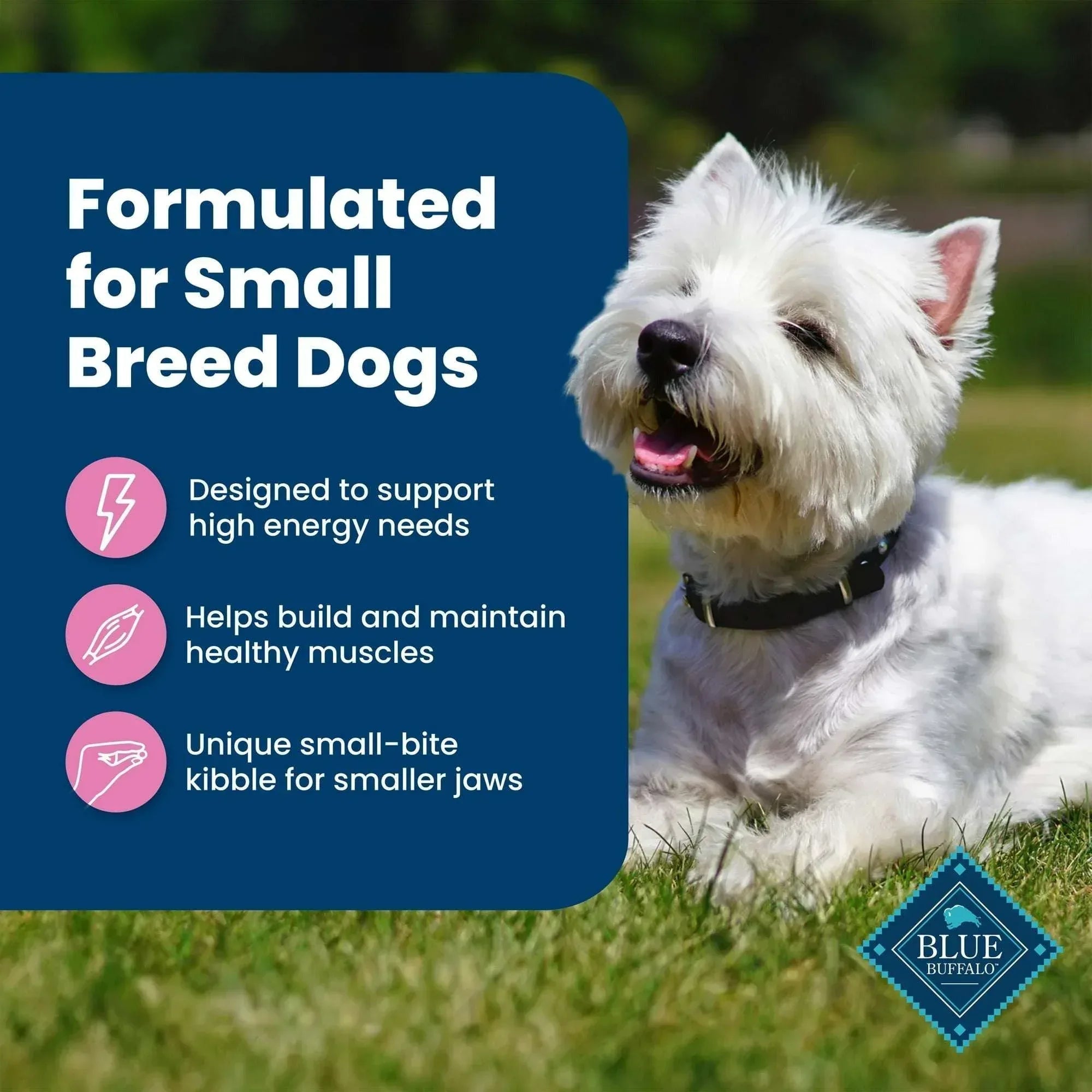 Blue Buffalo Life Protection Formula Small Breed Dry Dog Food Chicken & Brown Rice