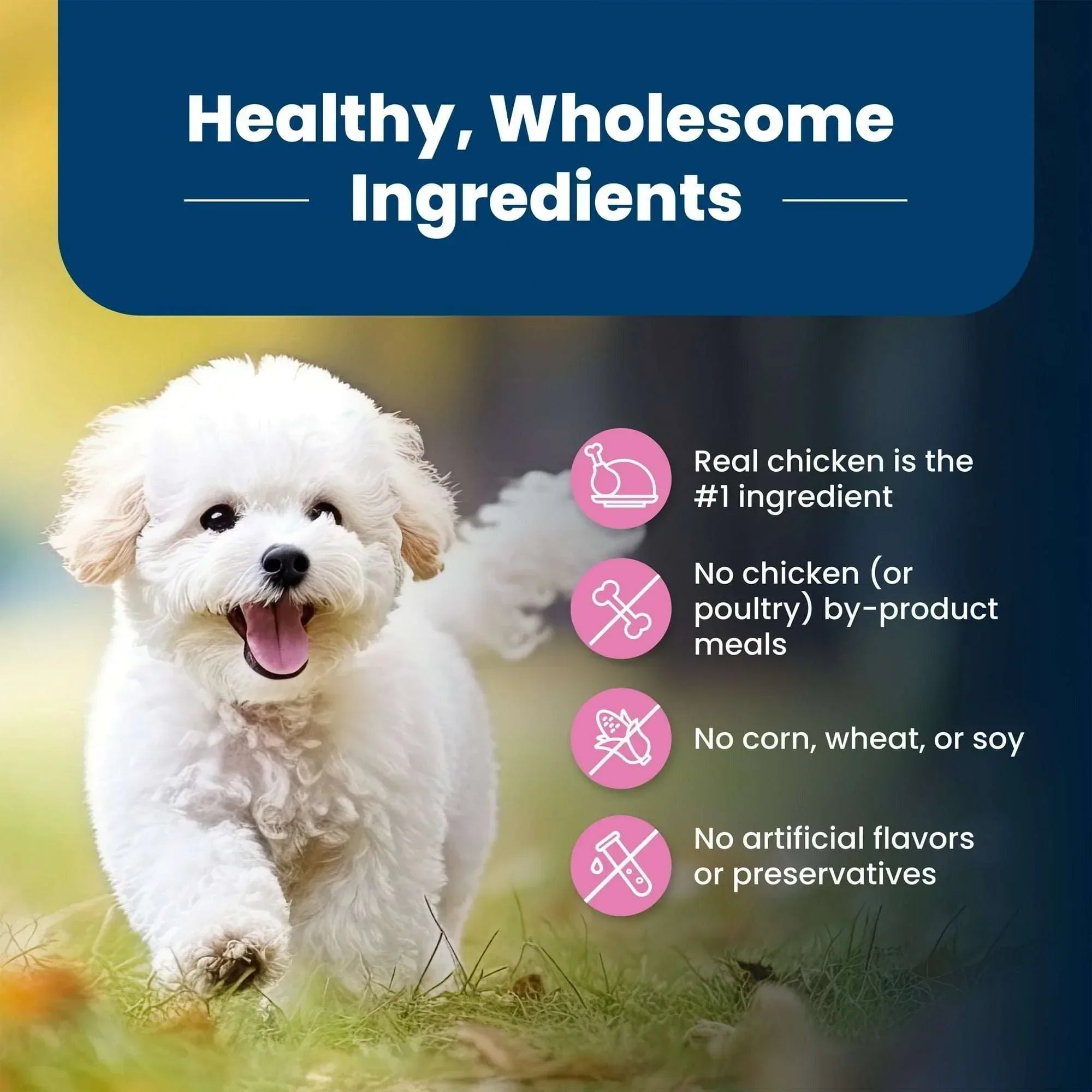 Blue Buffalo Life Protection Formula Small Breed Dry Dog Food Chicken & Brown Rice