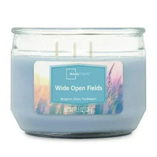 3-wick glass jar candle, Wide Open Fields, Corydalis Blue, three wicks visible