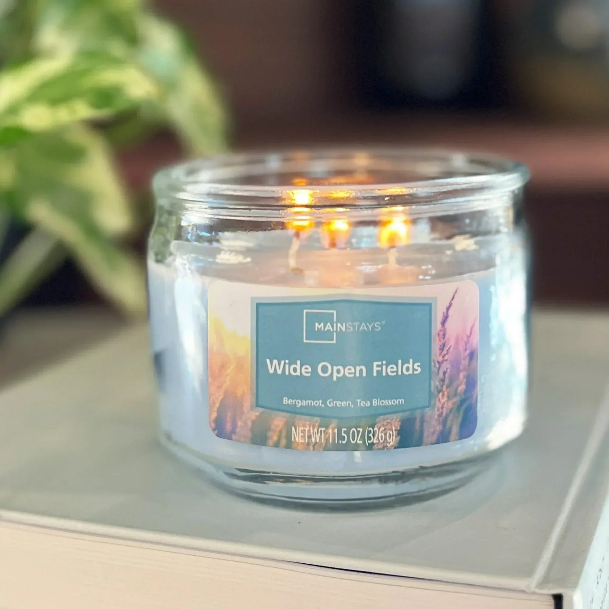Mainstays 3-Wick Glass Jar Candle, Wide Open Fields, Corydalis Blue, 11.5 oz