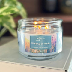 Mainstays 3-Wick Glass Jar Candle, Wide Open Fields, Corydalis Blue, 11.5 oz