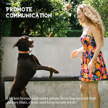 Dog and person near a sweet potato chicken treat benefit panel