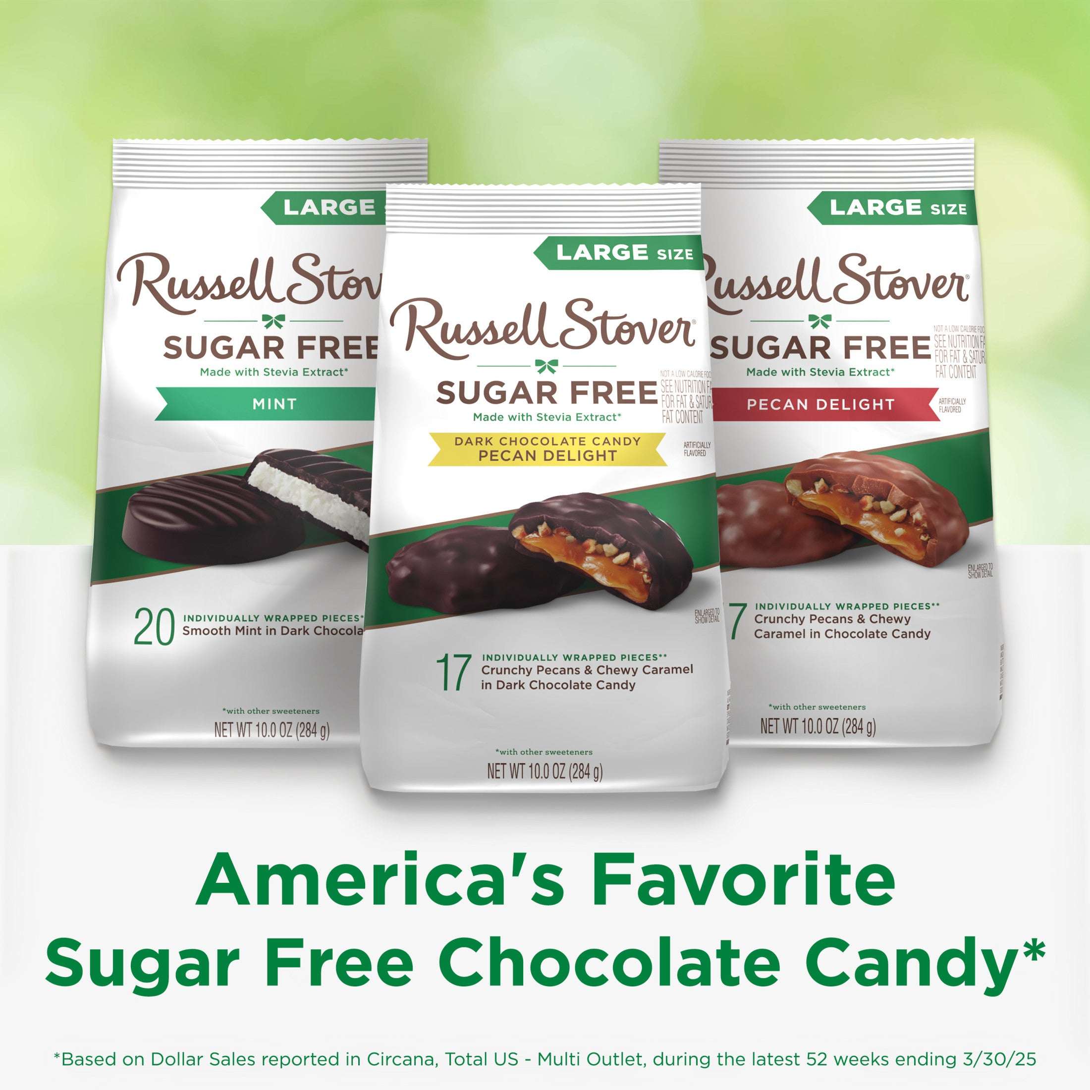 RUSSELL STOVER Sugar Free Dark Chocolate Pecan Delights Candy, 10 oz. bag