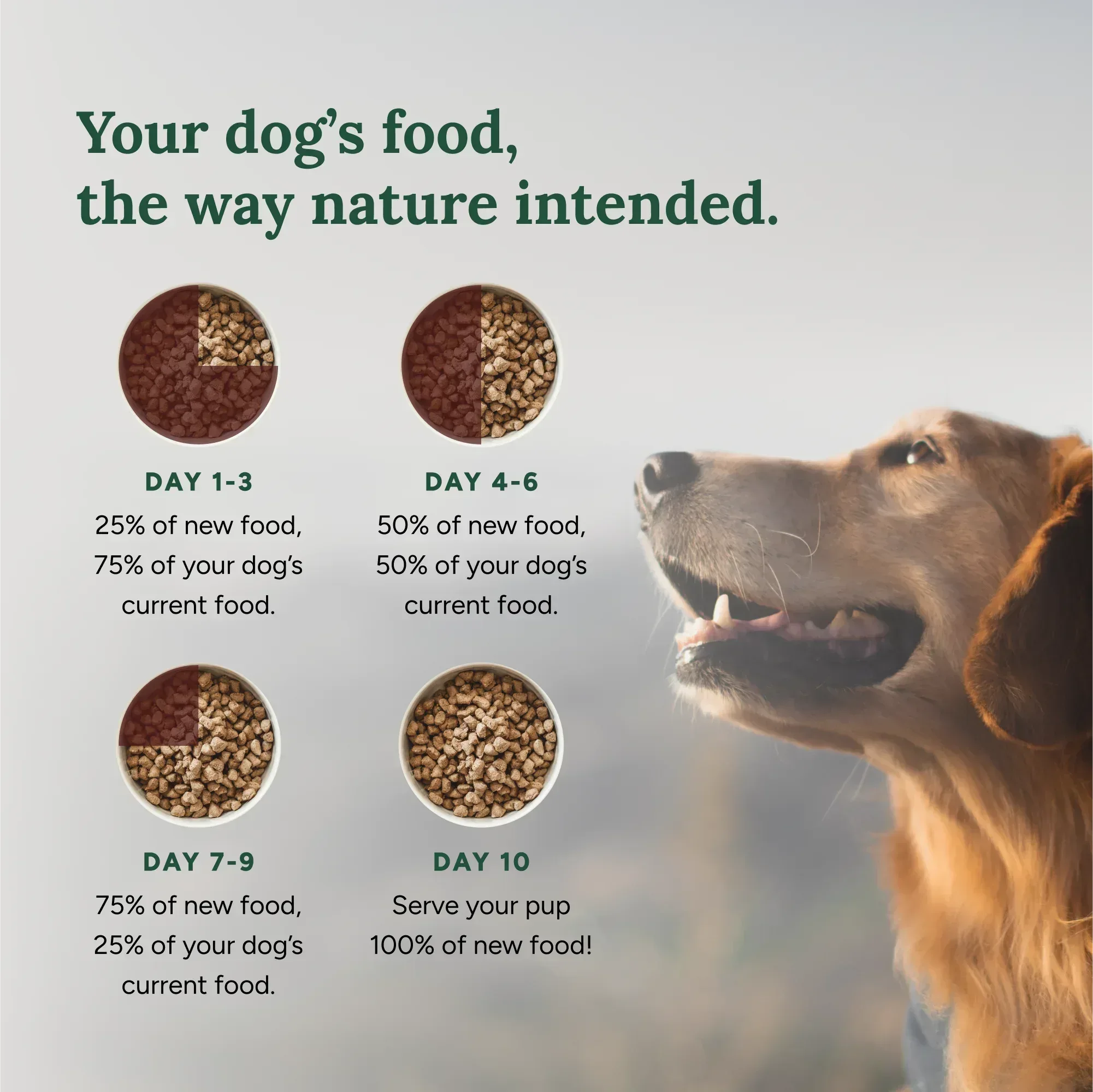 360 Pet Nutrition Multi Protein Flavor Freeze Dried Dog Food