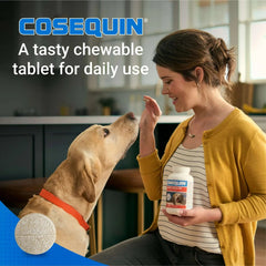 Nutramax Cosequin for Dogs Joint Health Supplement, Chewable Tablets, 60 Count
