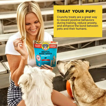 Dog treat pouch held near a dog as treats are offered by a woman