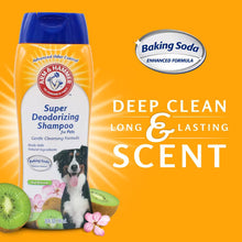 Arm & Hammer super deodorizing dog shampoo bottle with deep clean long lasting scent text.