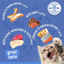 Purina Friskies shreds in gravy variety, showing beef, turkey, salmon, whitefish & tuna