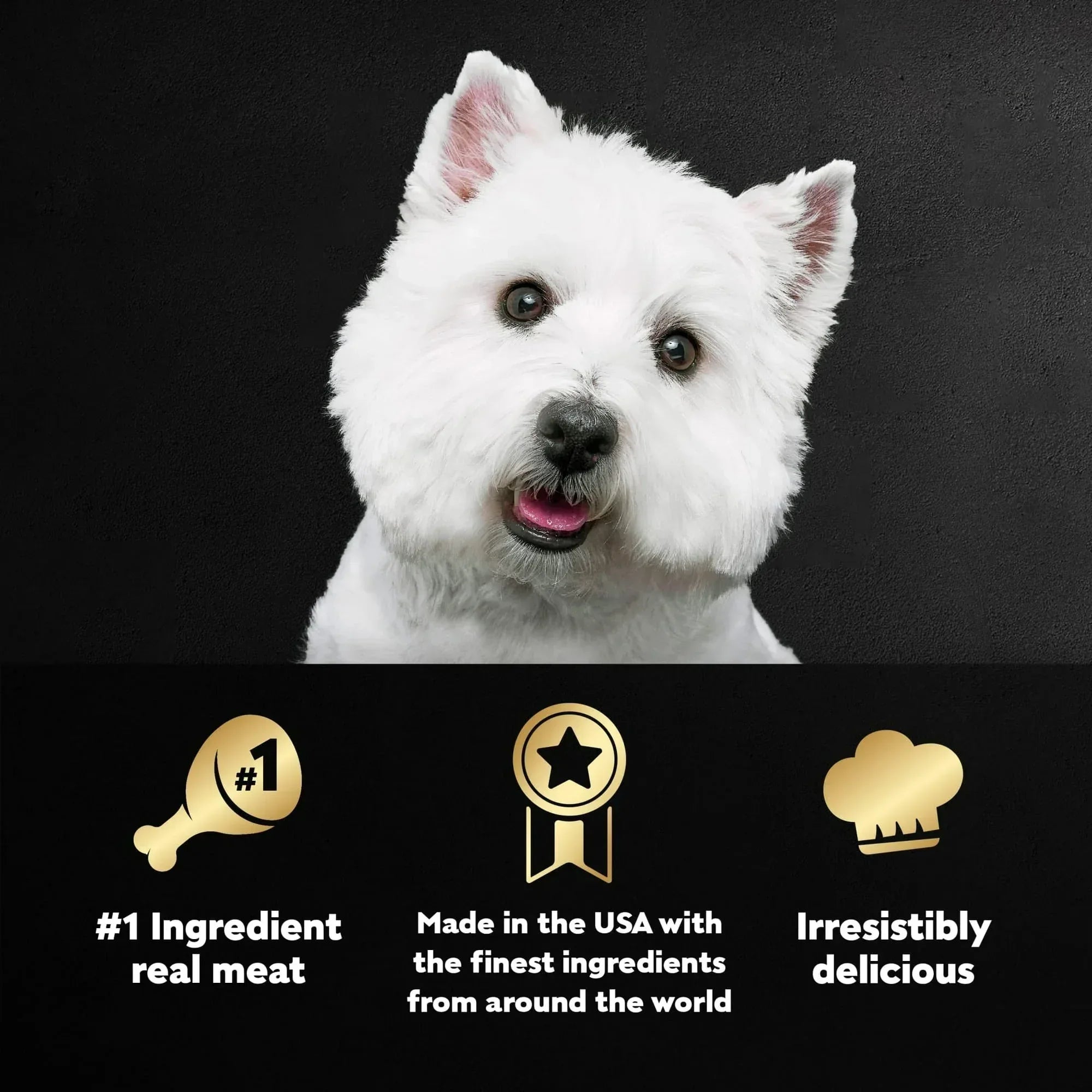 Cesar Loaf And Topper Angus Beef With Bacon And Cheese Wet Dog Food, 3.5 Oz Tray
