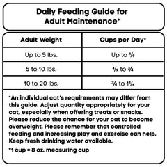 Special Kitty Complete Nutrition Chicken & Turkey Flavor Dry Cat Food, 35 lb Bag