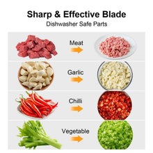 Sharp blade diagram showing meat, garlic, chili, and vegetables chopped results