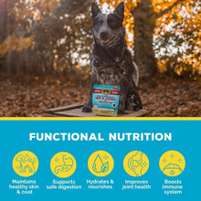 Black dog sitting with a beef bone broth dog biscuit pouch on ground
