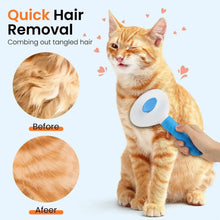 Blue-handled pet grooming brush brushing an orange tabby cat