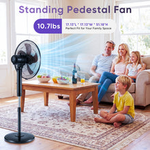 Black standing pedestal fan with wide circular grille and round base