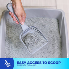 Grey cat litter box with grey litter; metal scoop held inside for cleaning
