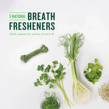 Green dental bone chews with herbs and vegetables for breath freshening