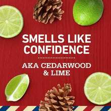 Old Spice Swagger 2-in-1 shampoo and conditioner promotional graphic, cedarwood & lime.