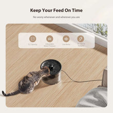 Automatic pet feeder with top dish and nozzle-style water outlet for pet use