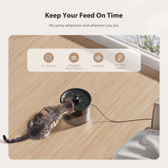 Automatic Cat Feeder and Water Fountain, Timed Pet Dry Food Dispenser, Programmable Portion Control, 1-6 Meals Per Day, Cat Fountains for Drinking with Filter, Small Pets (3L Combo)