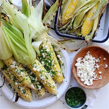 White dinner plates with grilled corn and vegetable skewers, plus herb garnish