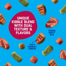 Assorted dry dog kibble pieces in red, green, and brown with dual texture