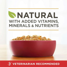 Wet dog food serving in a red bowl, labeled with added vitamins, minerals & nutrients