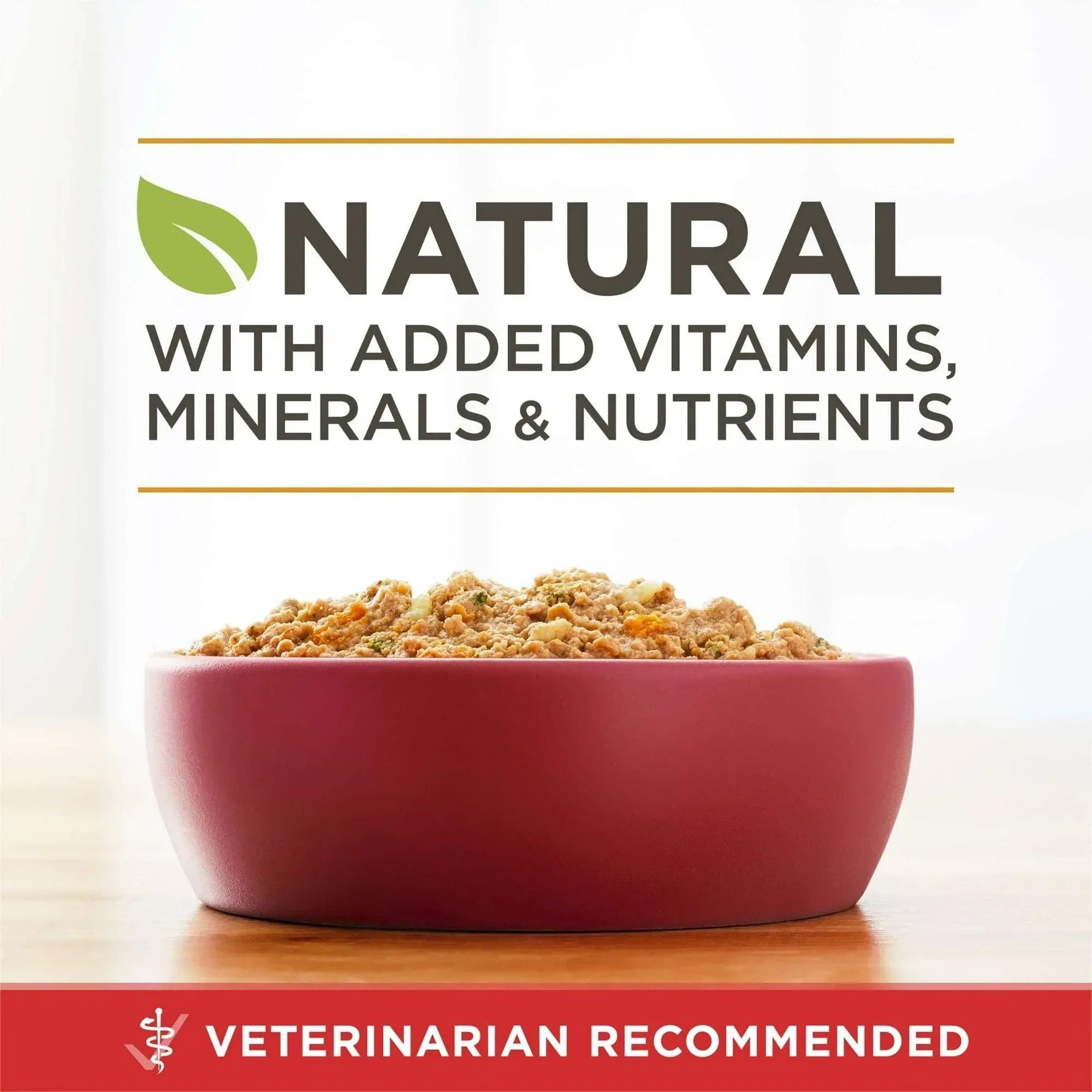 Purina ONE Smart Blend Wet Dog Food, High Protein Soft Chicken & Brown Rice, 13 oz Can
