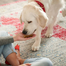 Dog being fed a gravy-coated Milk-Bone biscuit treat by hand