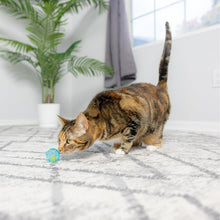 Cat batting a teal lattice bell ball toy on a light floor