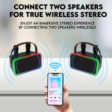 Two karaoke speakers with microphones showing connected wireless stereo setup