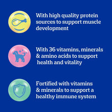 Nutrition icons for puppy dog food: protein support, vitamins, minerals, and immune health