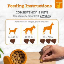 Feeding instructions chart for turmeric bites with serving amounts by dog weight