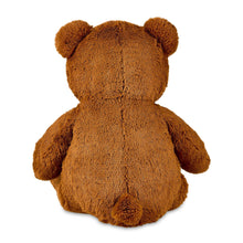 Brown teddy bear plush, back view, rounded ears and plush tail