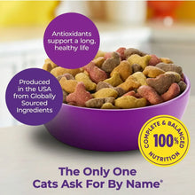 Dry cat food in purple bowl with 100% complete nutrition badge