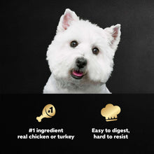 Cesar wet dog food tray variety card with white dog and benefit icons