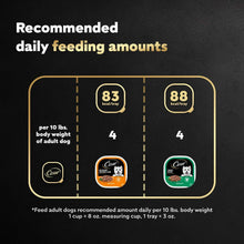 Recommended daily feeding amounts chart for adult dog wet food trays