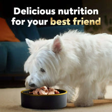 White dog eating from a black bowl with wet dog food pieces