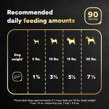 Dog food feeding chart for adult dogs with serving amounts