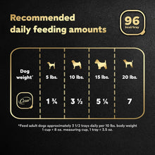 Recommended daily feeding amounts chart for adult dogs by weight