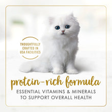 Kitten classic pate wet cat food box with kitten photo and protein-rich formula text