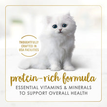 Kitten wet cat food formula concept shown with a white kitten
