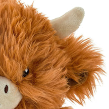 Close-up of brown plush Highland cow head with fuzzy fur, ear and blue eye