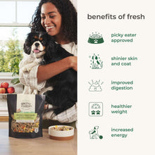 Freshpet Homestyle Creations chicken & turkey dog food bag with benefit icons