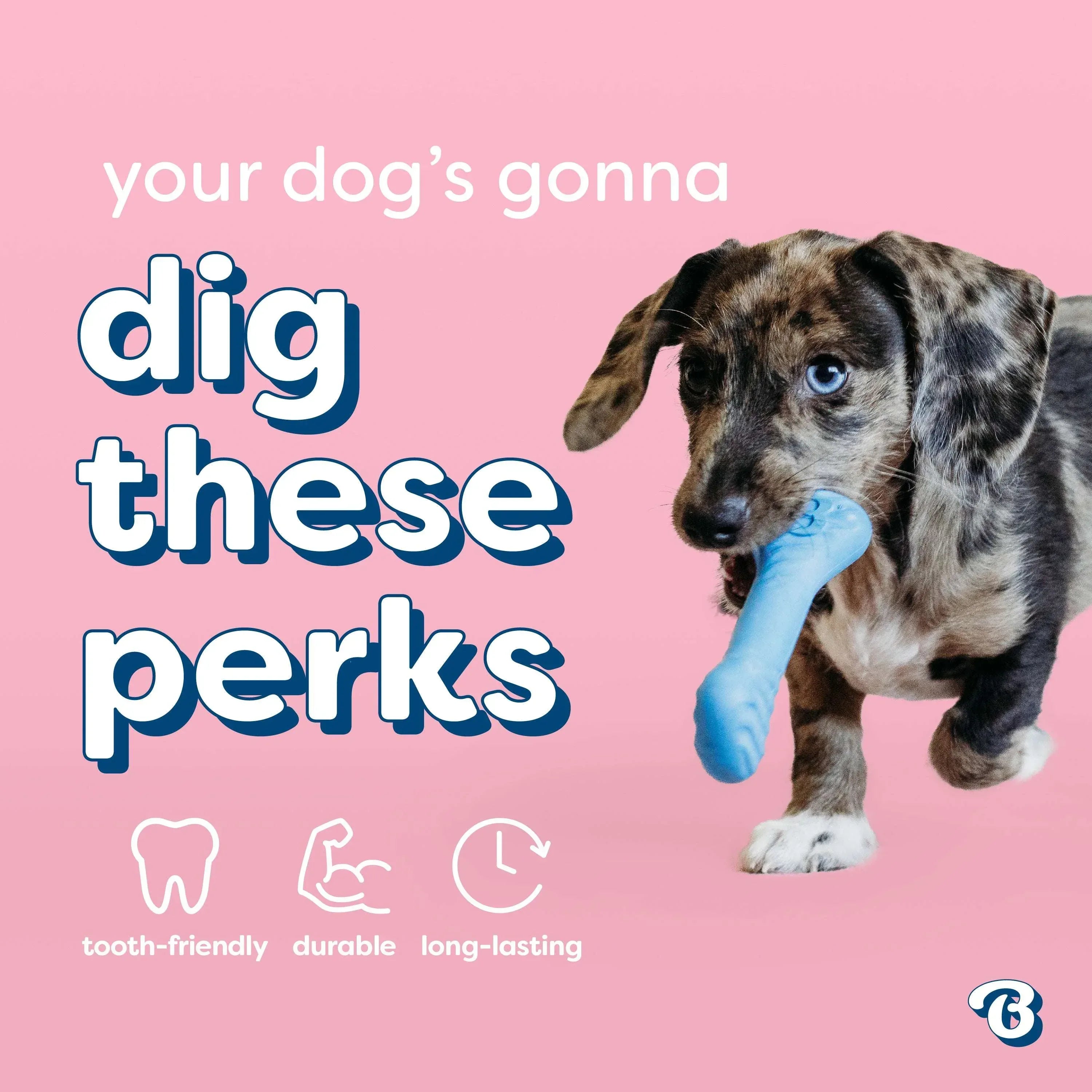 Benebone Essentials Puppy 2-pack Rubber Bone/Wishbone Bacon Tiny