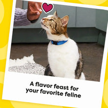 Cat with blue collar beside scattered crunchy cat treat pieces